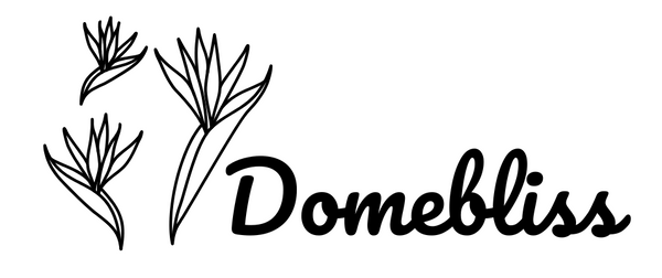 Domebliss